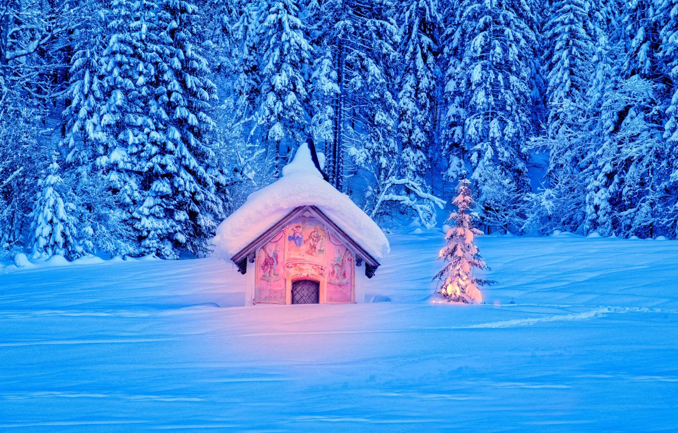 Фото обои зима, лес, снег, Германия, ели, Бавария, сугробы, ёлочка
