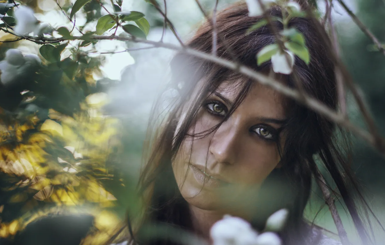 Фото обои глаза, девушка, лицо, фон, модель