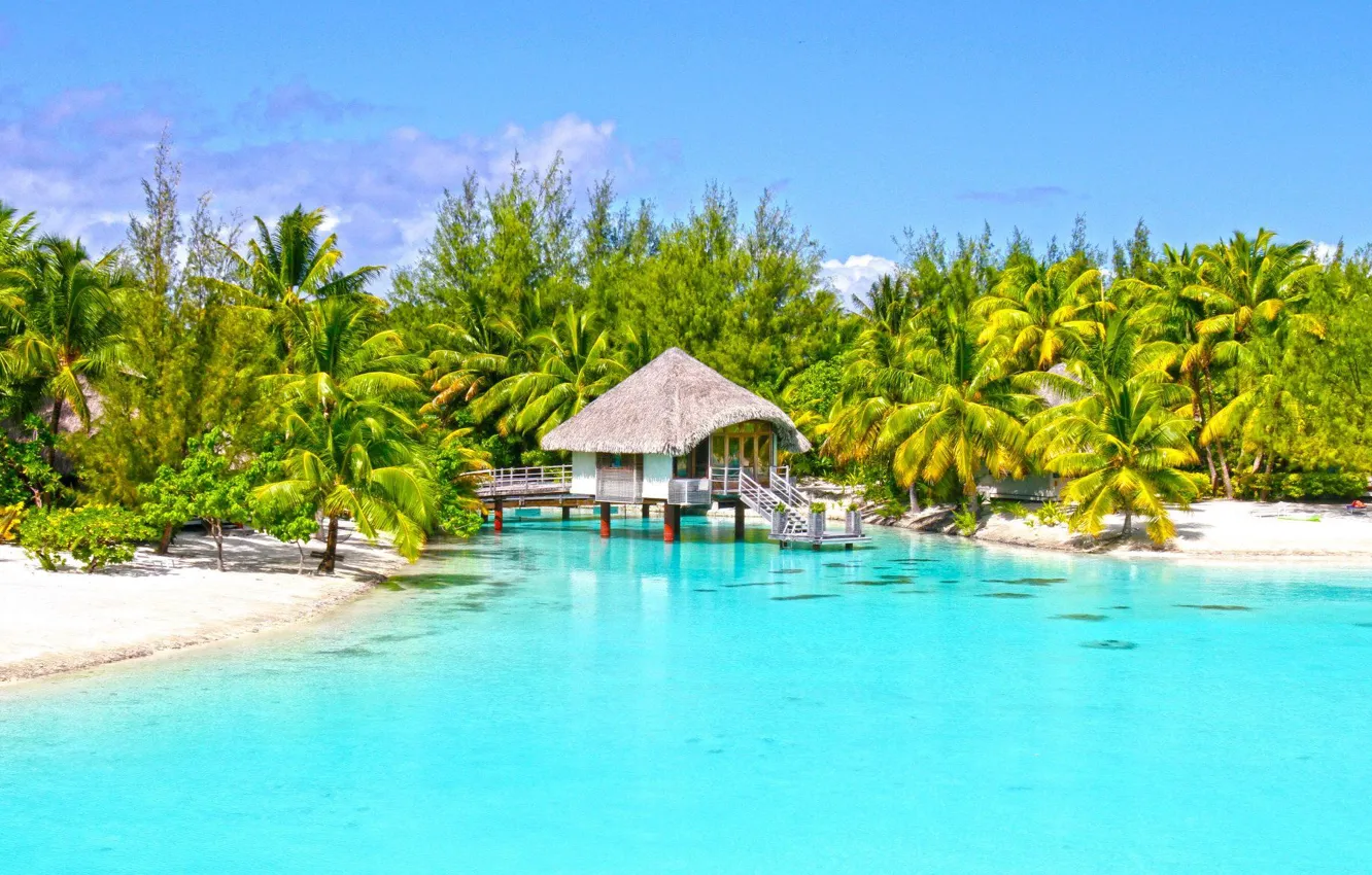 Фото обои пляж, пальмы, лагуна, бунгало, blue lagoon, bora-bora, clear aqua, white beach