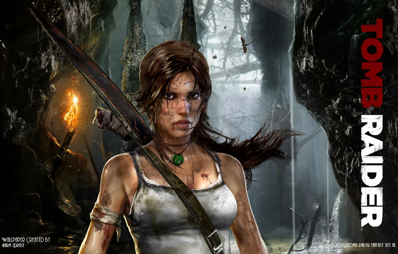 Фото обои Tomb Raider, Лара Крофт, 2012 Games
