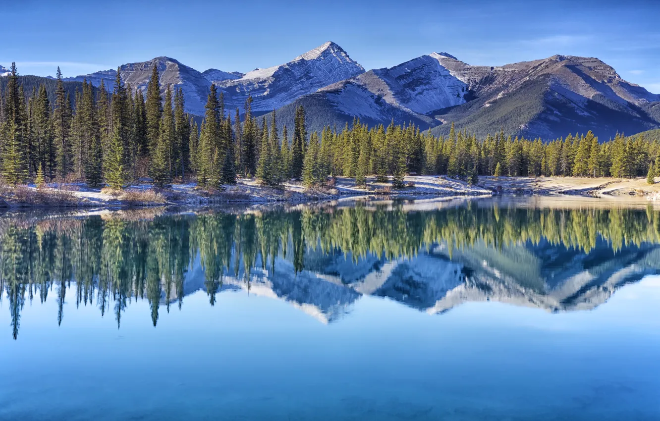 Фото обои деревья, горы, озеро, отражение, Канада, Альберта, Alberta, Canada