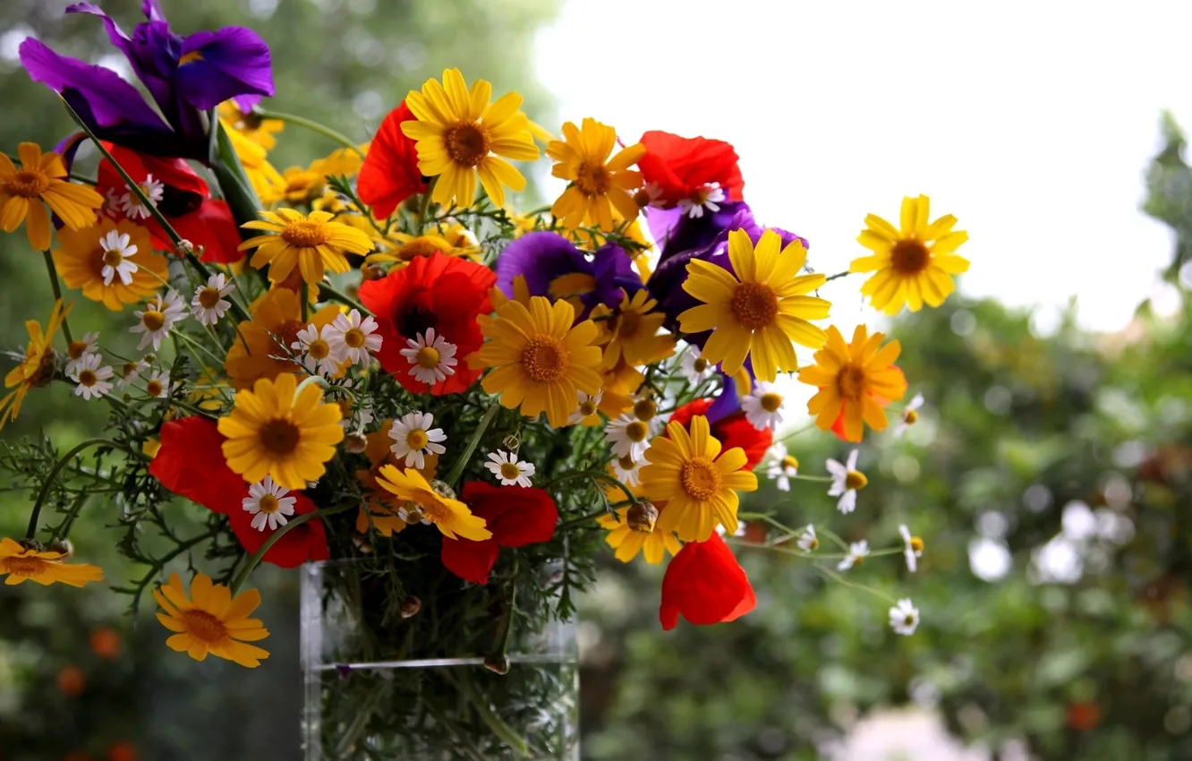 Фото обои лето, цветы, букет, ваза
