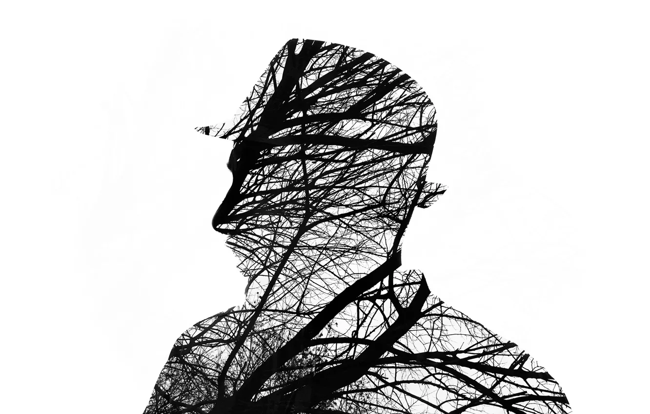 Фото обои man, branches, silhouette
