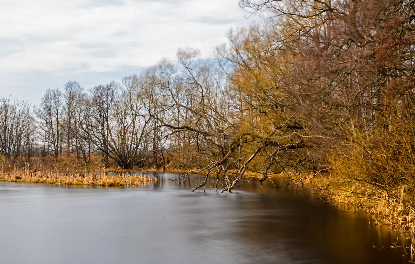 Фото обои деревья, озеро, Осень, trees, nature, autumn, lake, fall