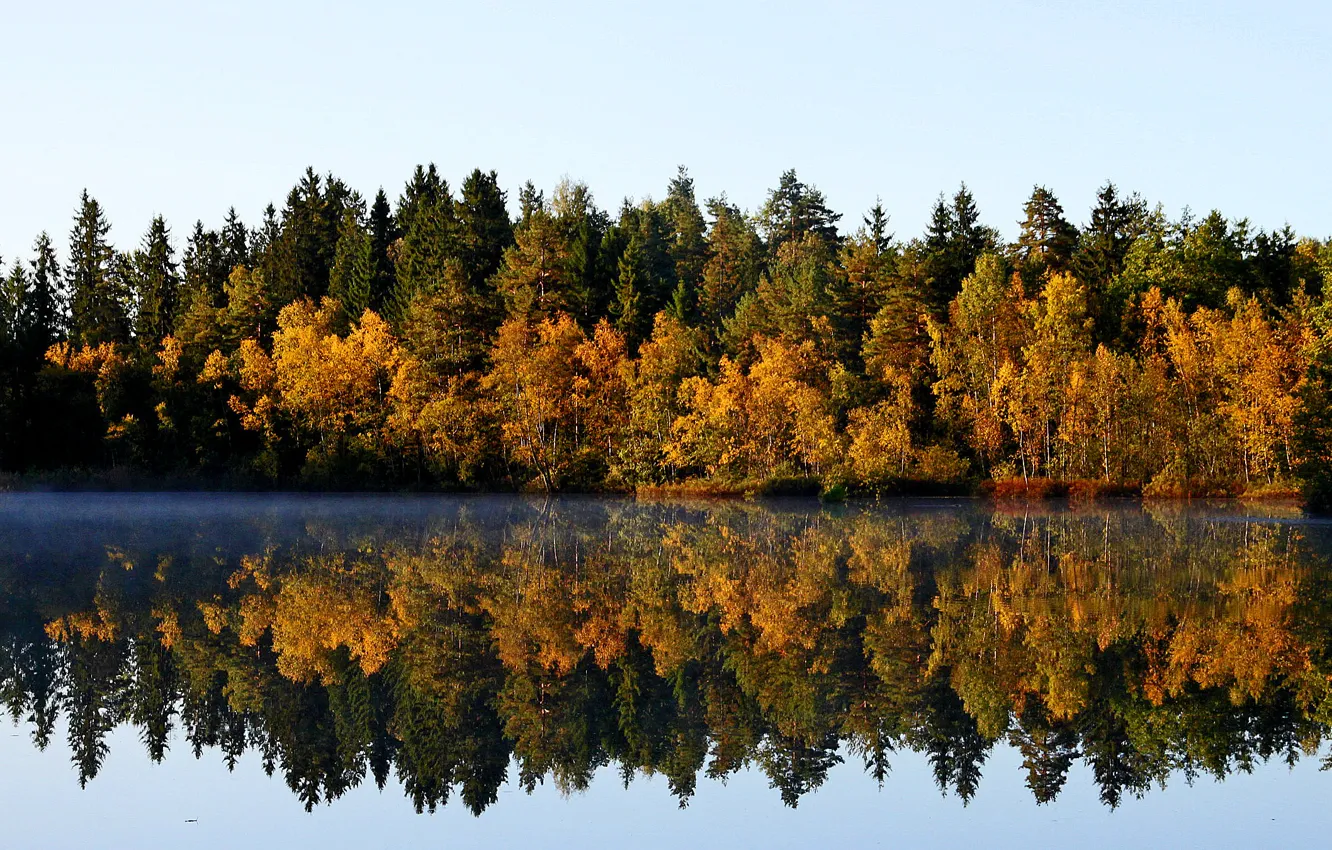 Фото обои лес, отражения, деревья, озеро, Осень, сентябрь