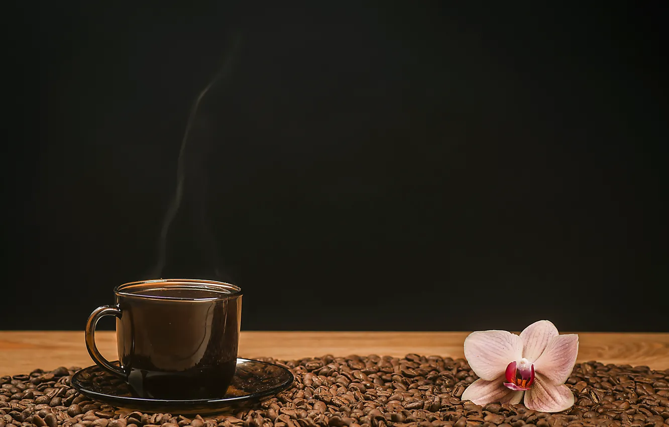 Фото обои цветок, стол, кофе, горячий, пар, чашка, напиток, черный фон