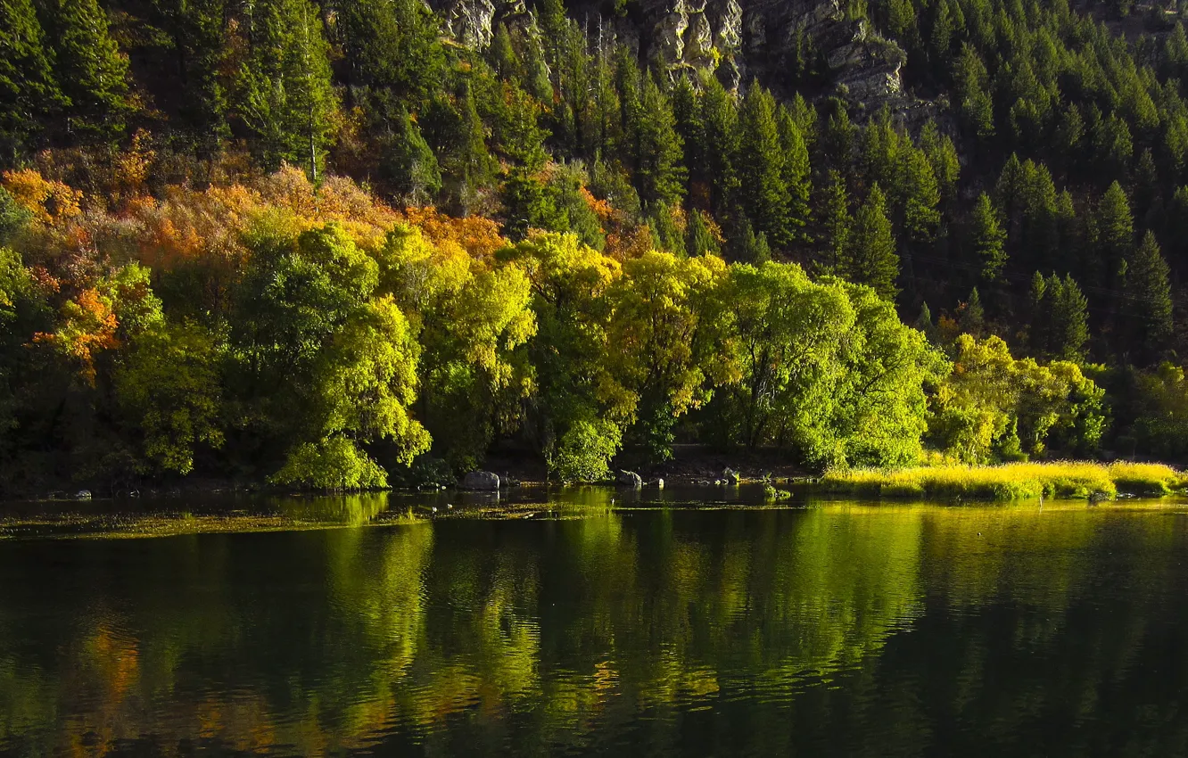 Фото обои осень, озеро, Юта, USA, США, autumn, lake, Utah