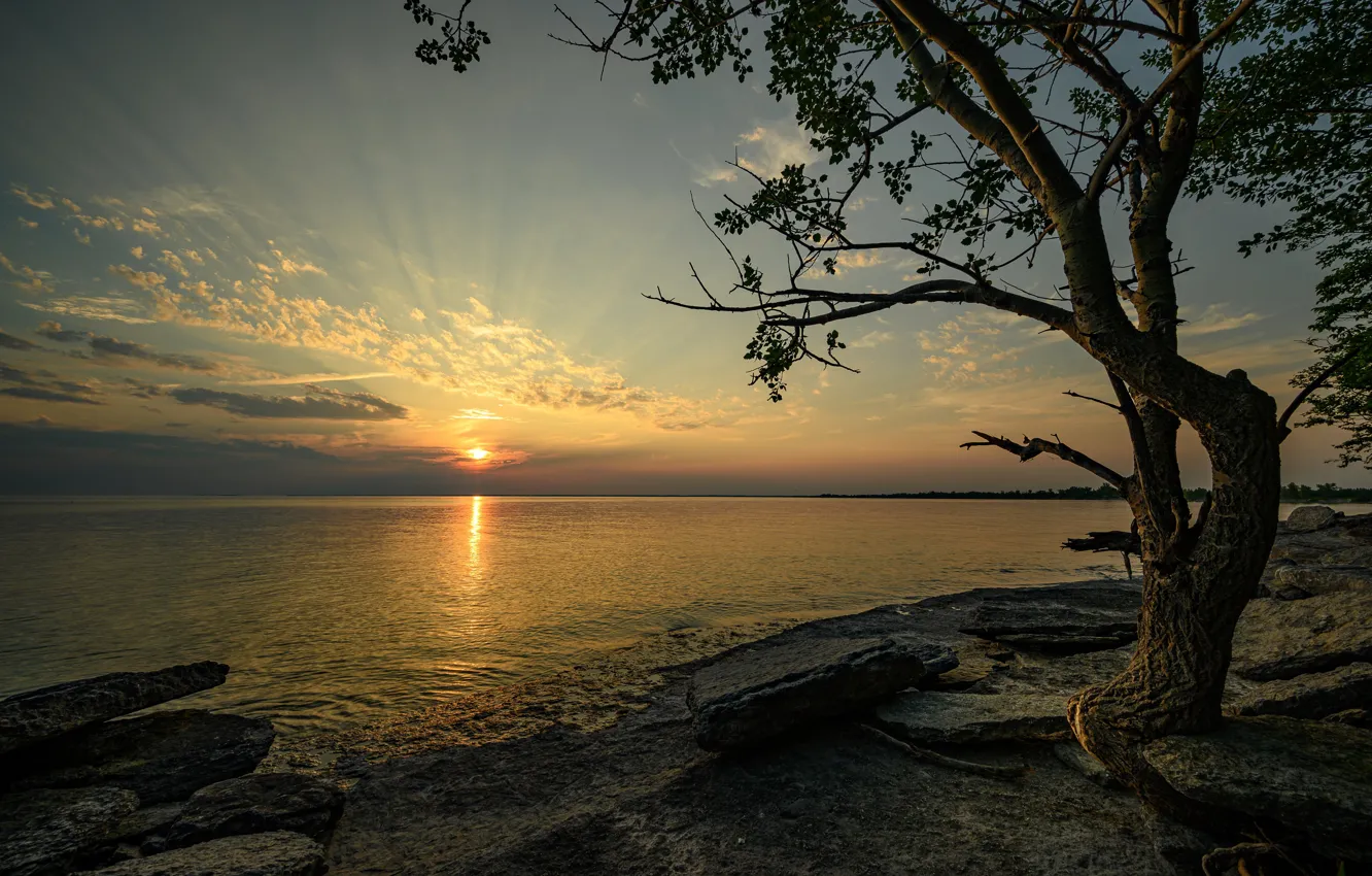 Фото обои закат, камни, дерево, Канада, Онтарио