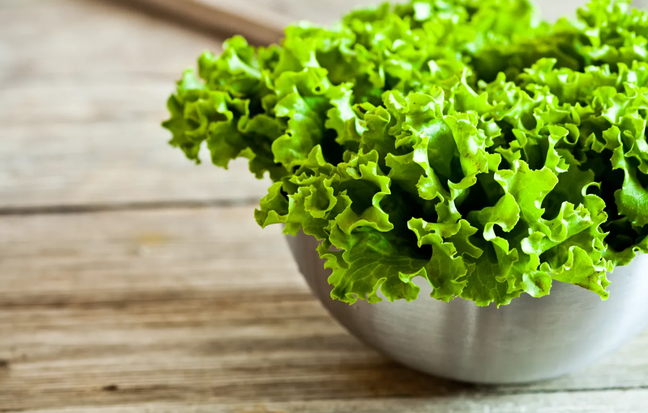 Фото обои зелень, миска, greens, bowl, зеленый салат, green salad