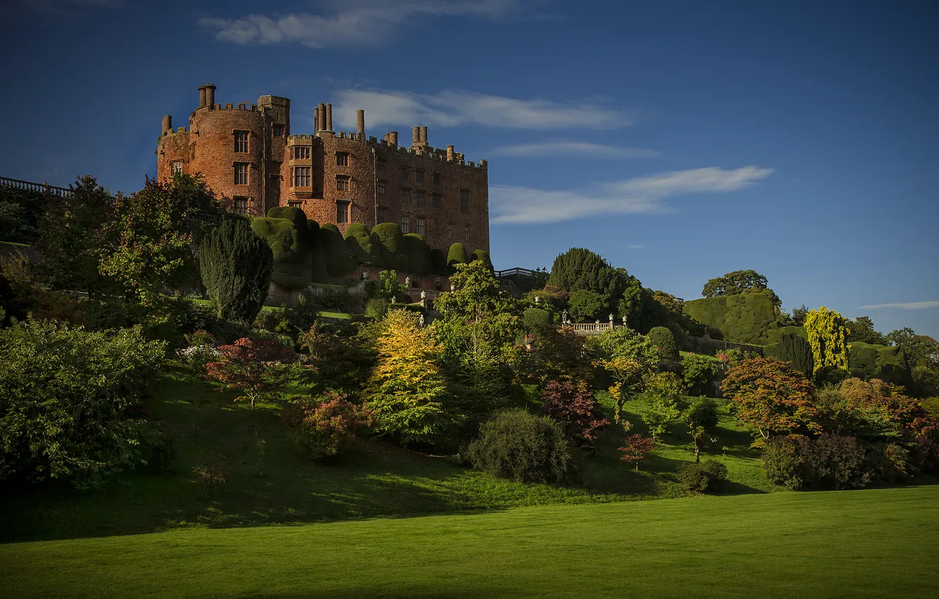 Фото обои пейзаж, замок, растительность, холм, Castle, Welshpool, Powis