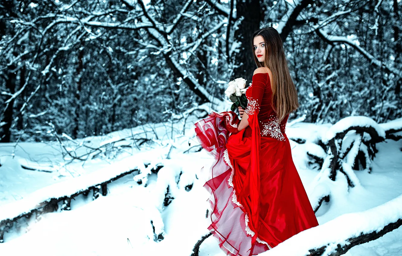 Фото обои зима, лес, девушка, снег, розы, букет, платье, в красном