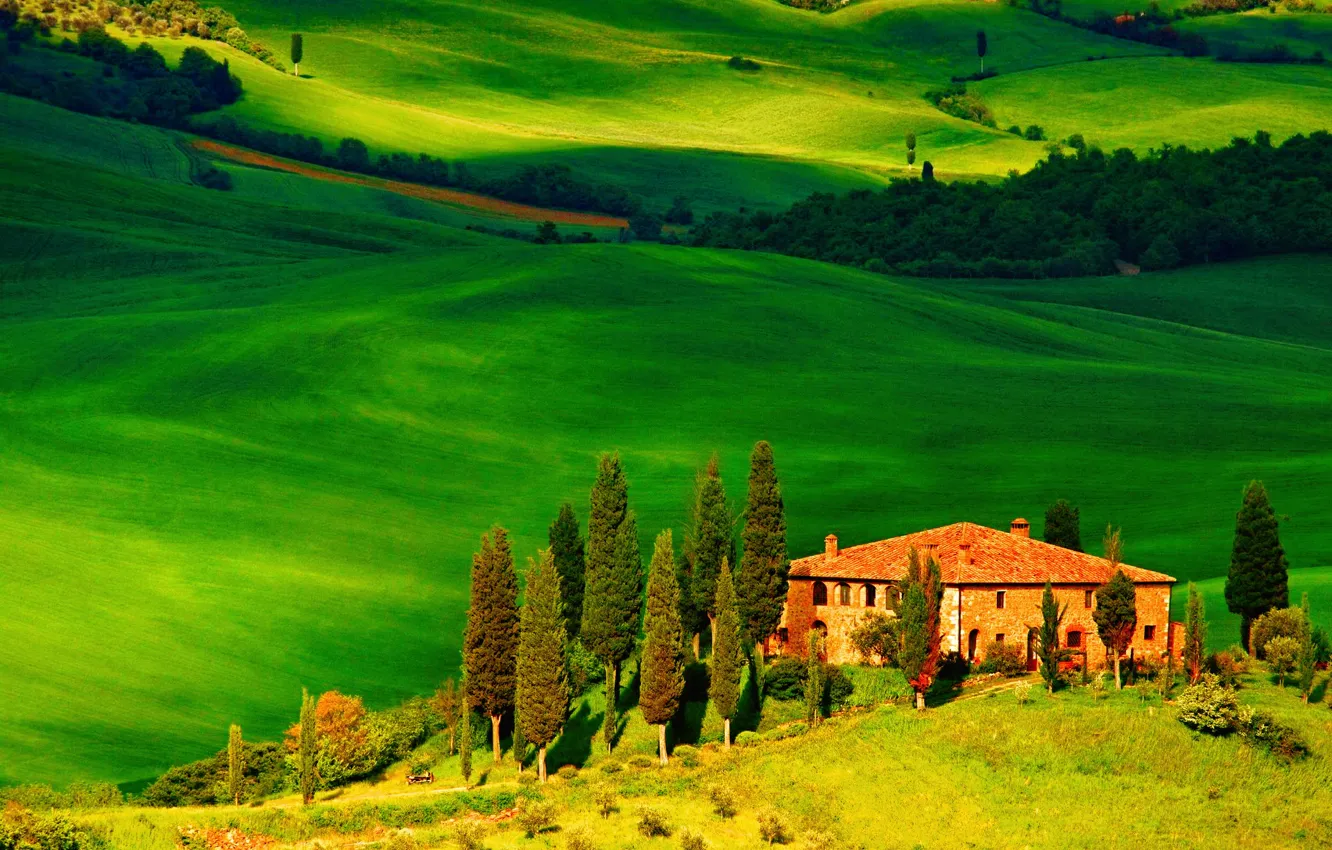 Фото обои поле, деревья, дом, холмы, Италия, Тоскана