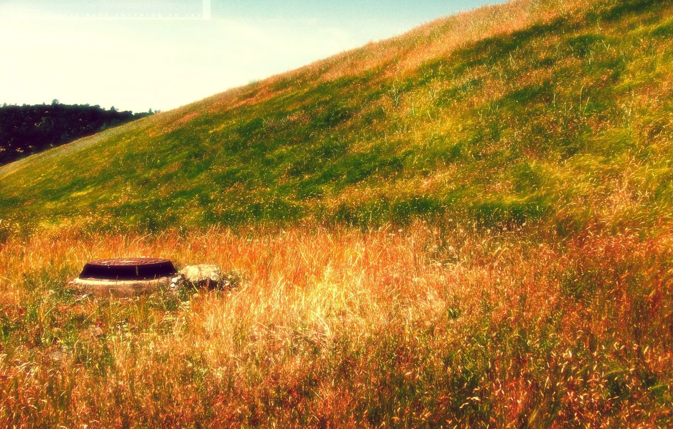 Фото обои осень, яркие краски, пейзаж, желтая трава, природа, стиль, ландшафт, ржавая крышка люка
