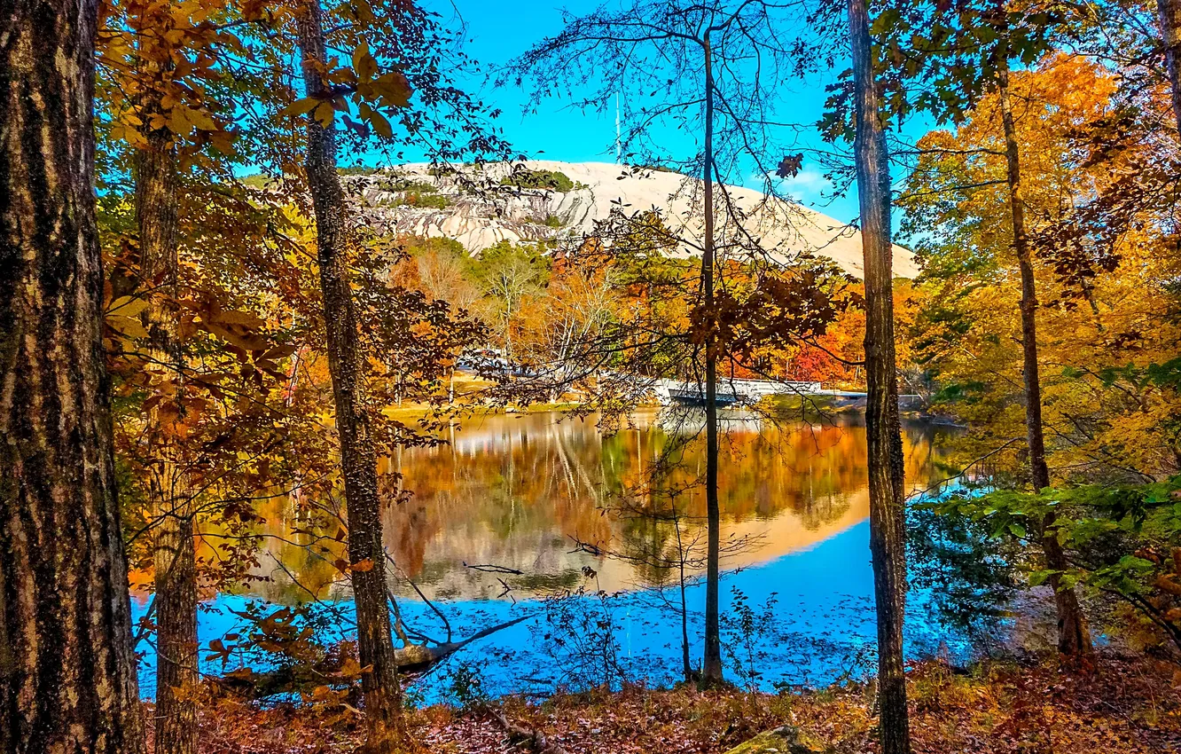 Фото обои осень, листья, деревья, озеро, желтые, США, Stone Mountain Park