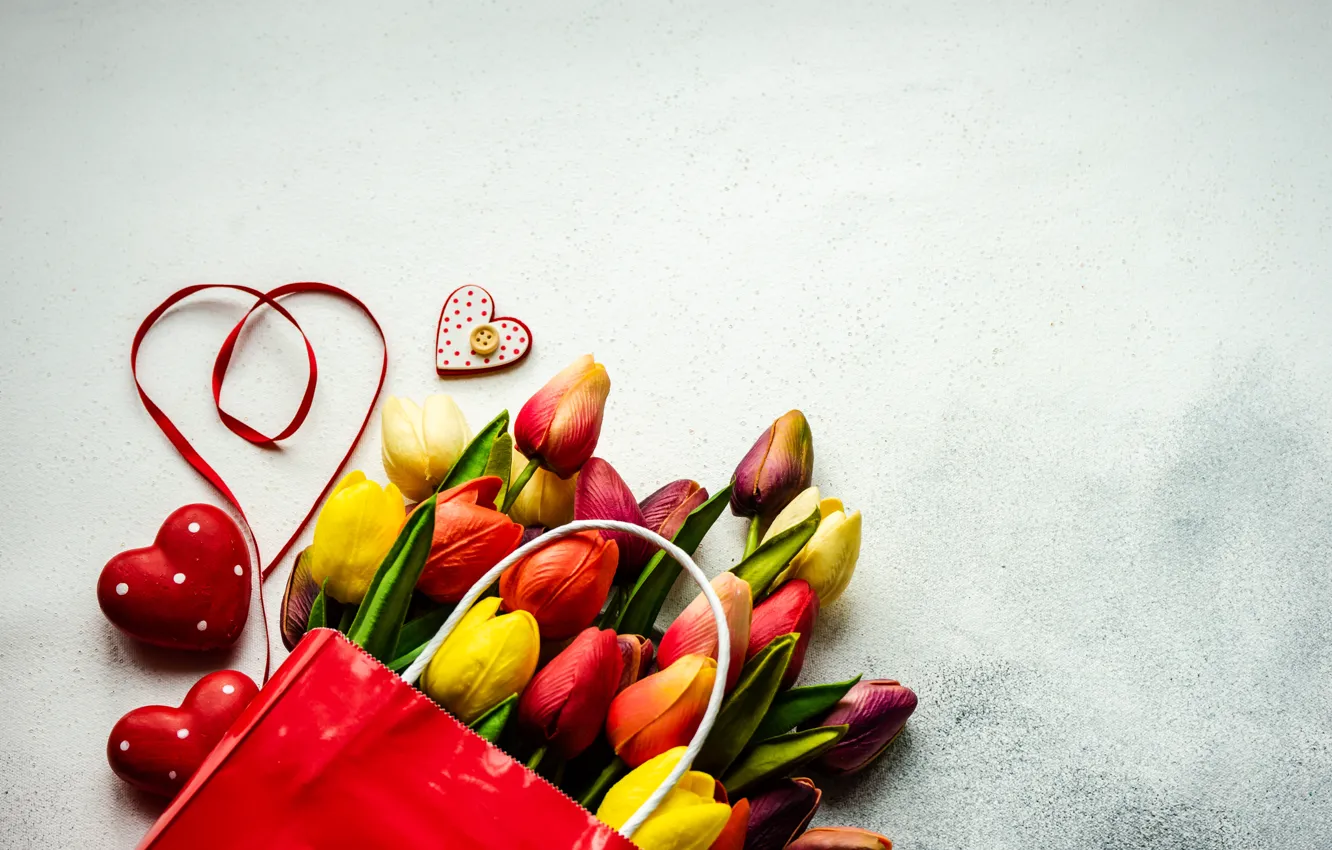 Фото обои цветы, лента, тюльпаны, День святого валентина, Anna Bogush