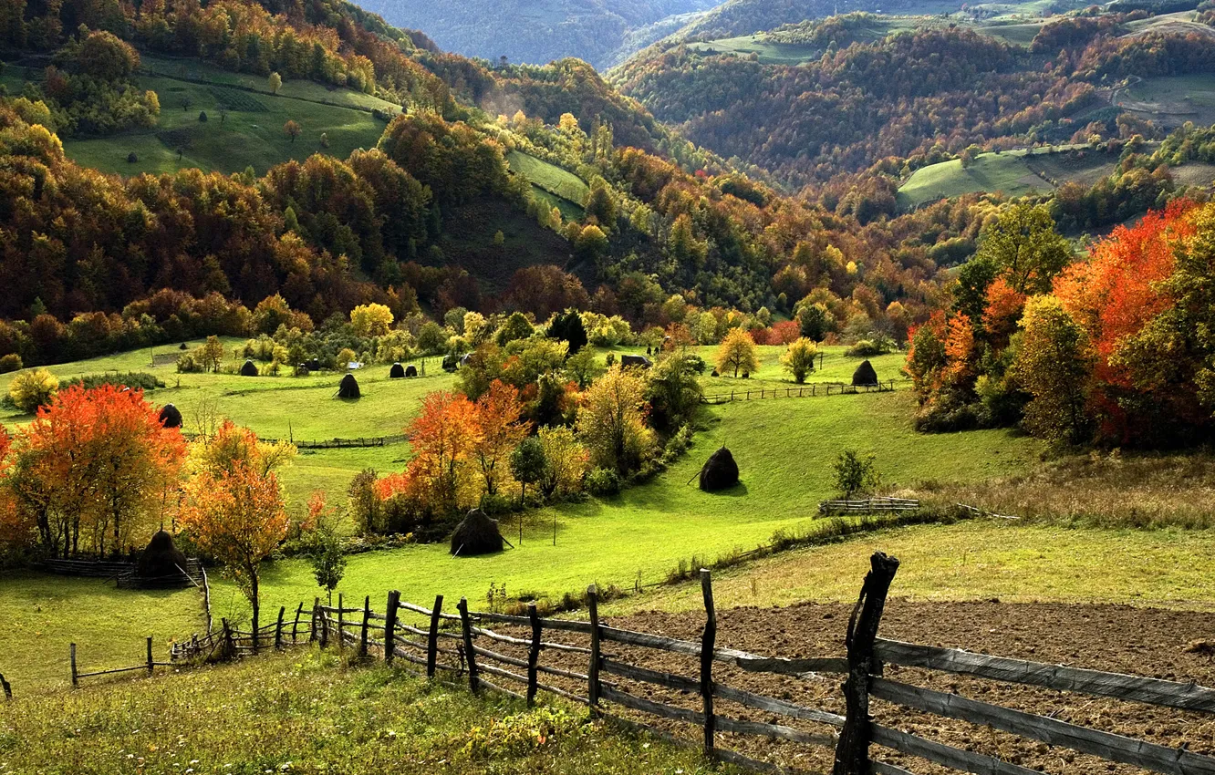 Фото обои зелень, лес, трава, деревья, пейзаж, горы, природа, забор