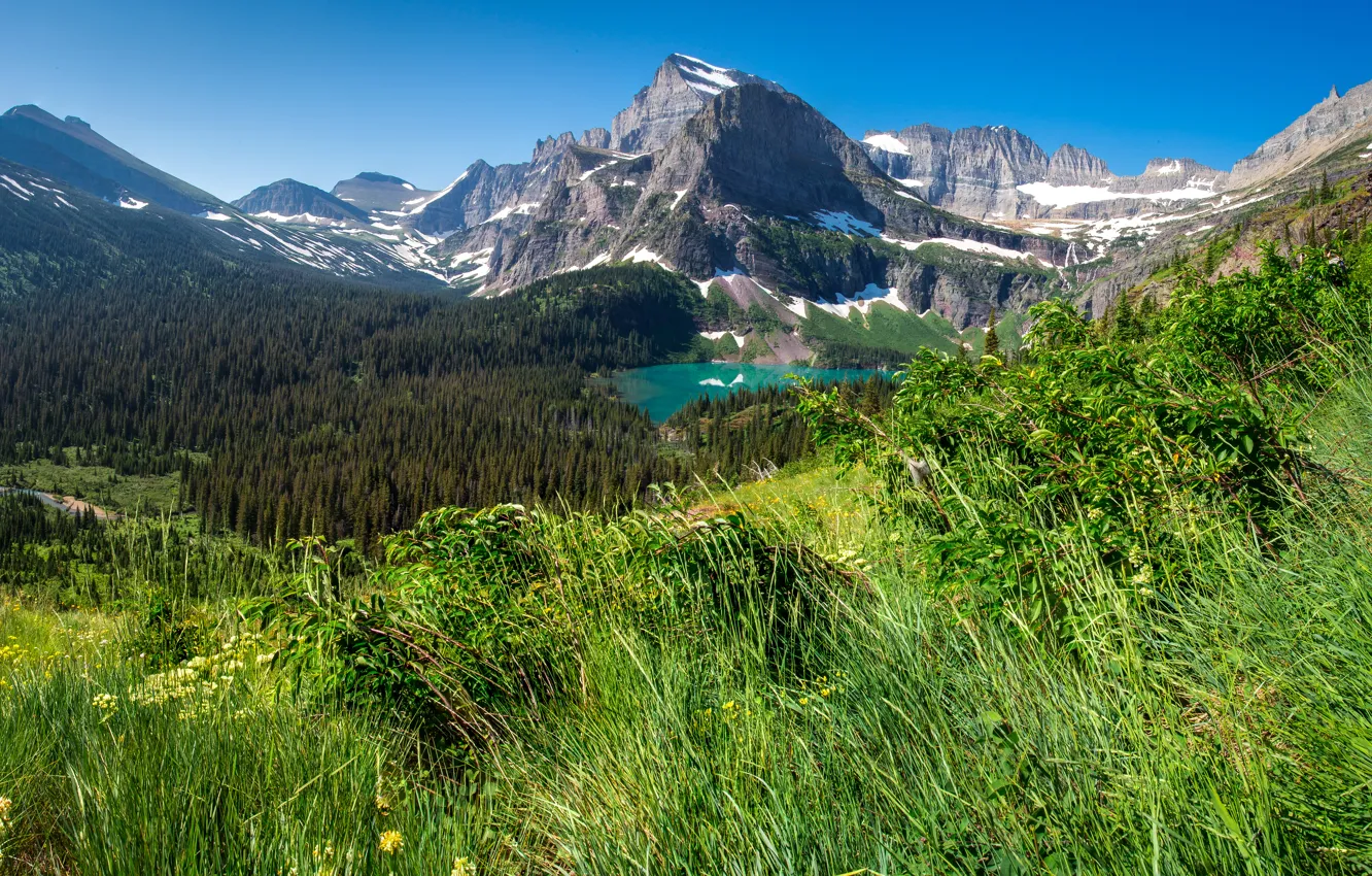 Фото обои лес, трава, деревья, горы, озеро, скалы, США, вид сверху