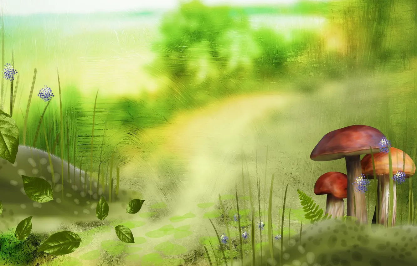 Фото обои зелень, лето, трава, листья, фон, рисунок, грибы