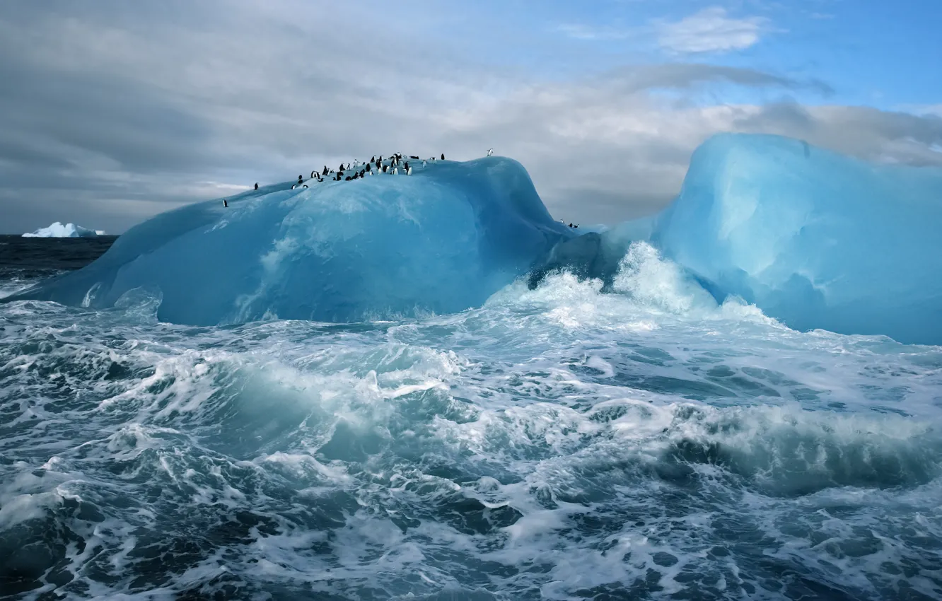 Фото обои blue, water, Ice, cold, arctic