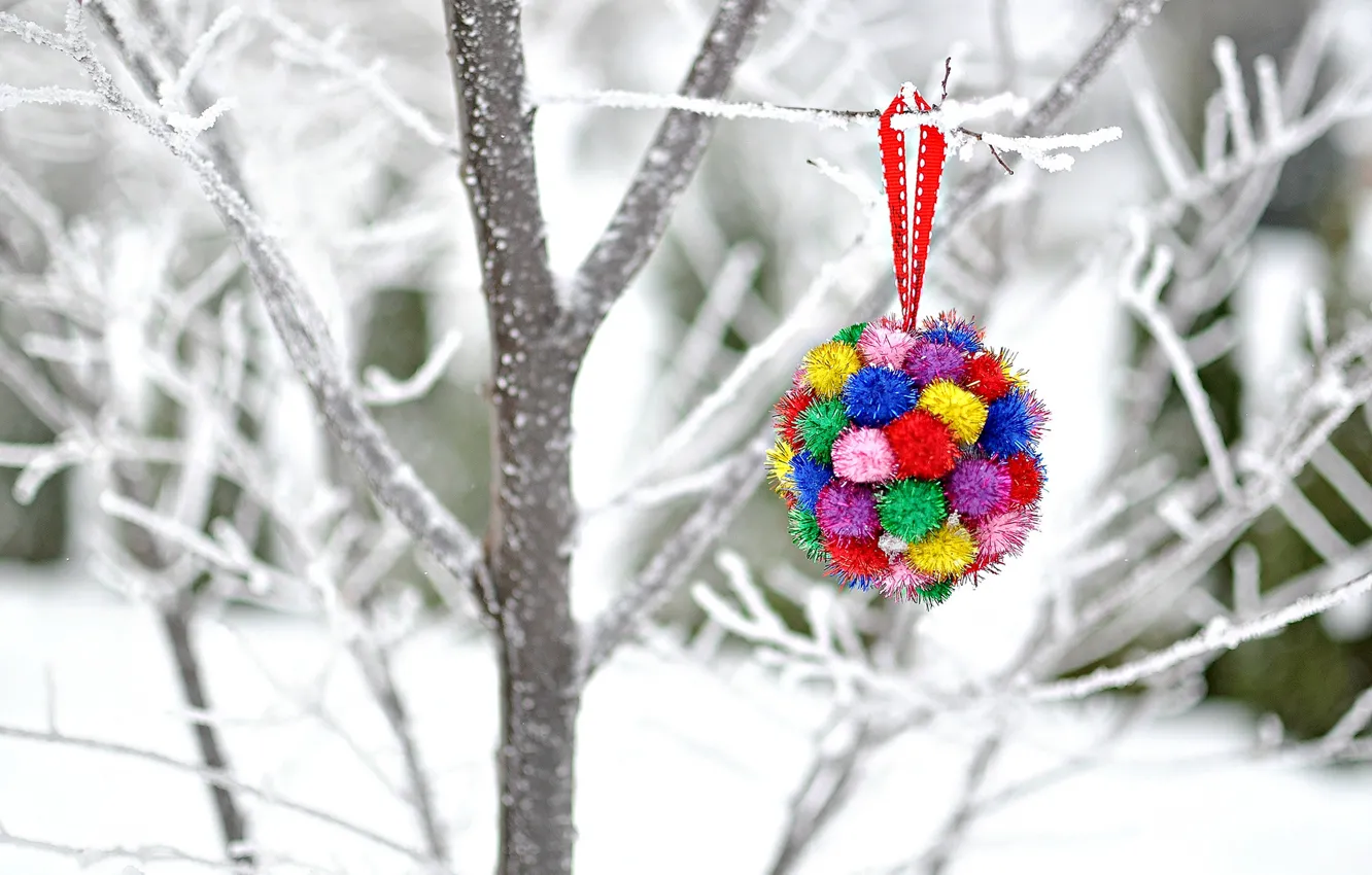 Фото обои зима, снег, ветки, дерево, игрушка, Новый Год, Рождество, украшение