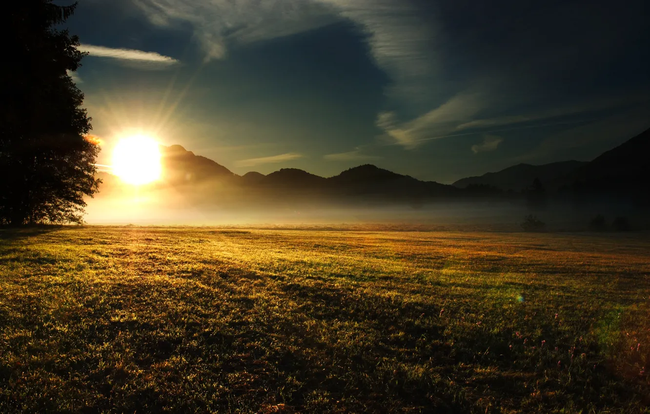 Фото обои поле, небо, трава, солнце, облака, лучи, свет, деревья