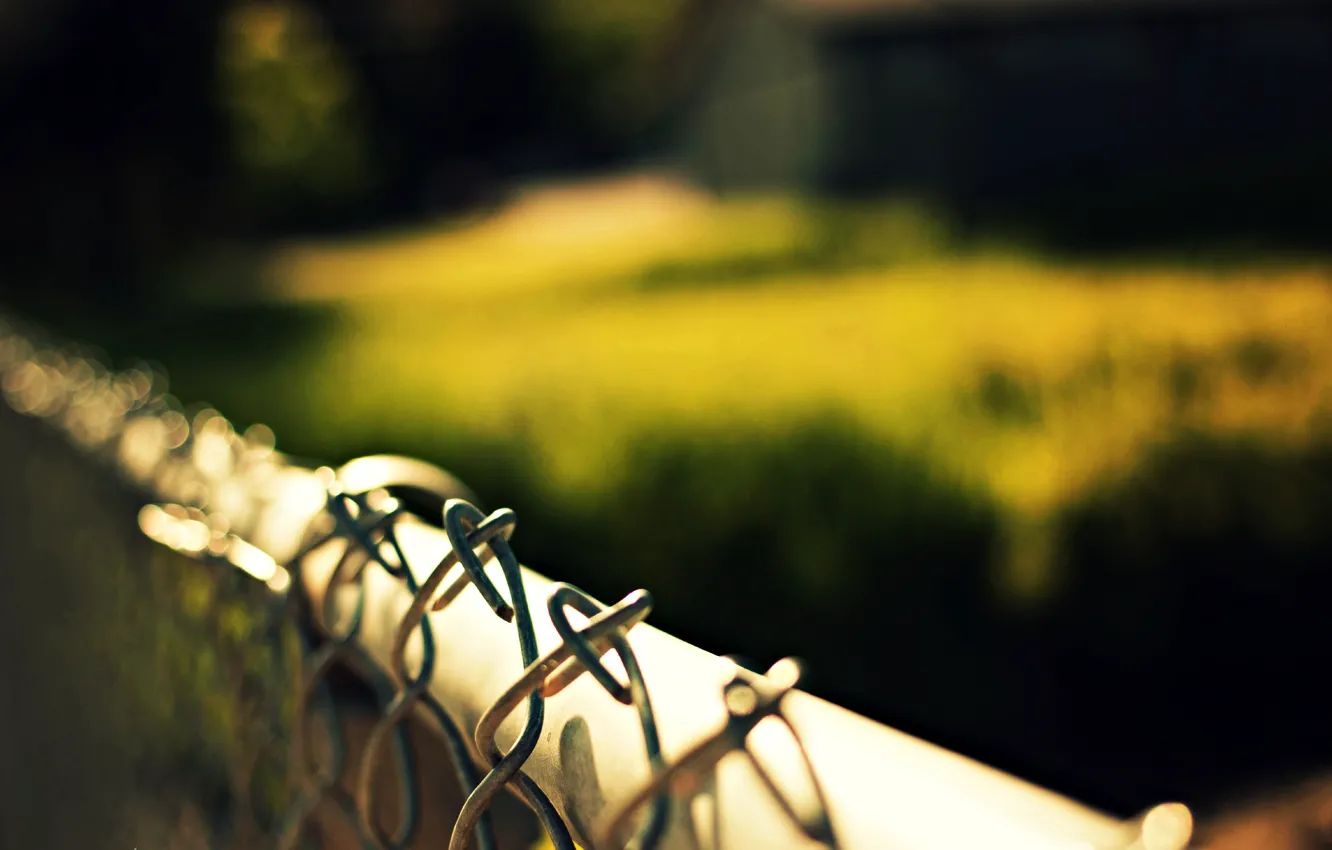 Фото обои макро, природа, сетка, забор, ограда, размытость