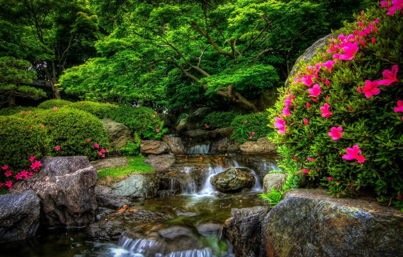 Фото обои вода, деревья, цветы, водопад, сад