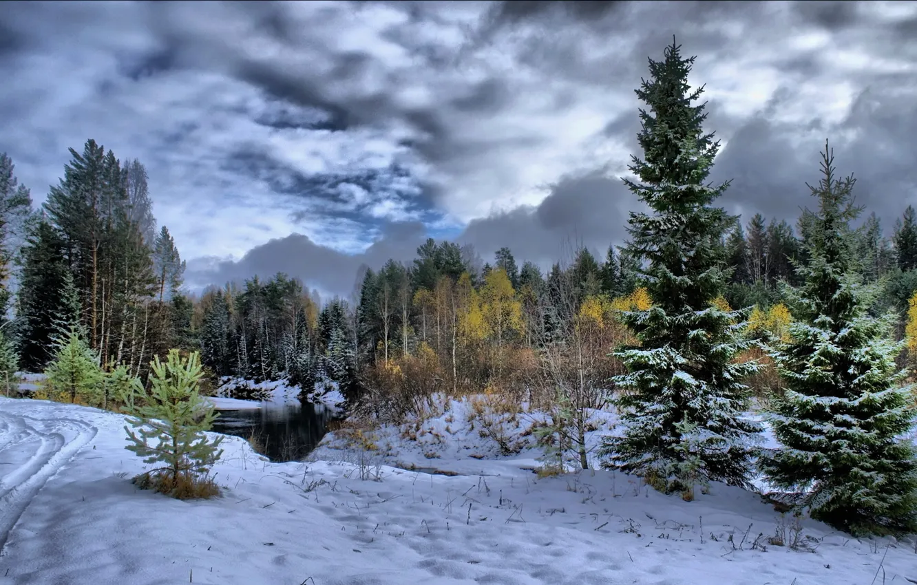 Фото обои лес, снег, деревья, река, Зима