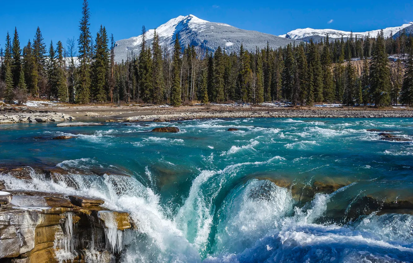 Фото обои лес, горы, река, водопад, Канада, Альберта, Alberta, Canada