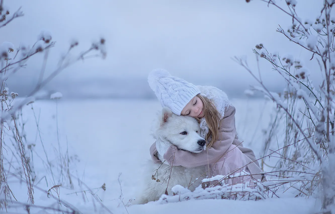 Фото обои зима, настроение, собака, дружба, девочка, друзья, обнимашки, Самоед