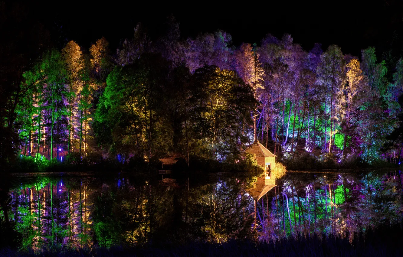 Фото обои лес, деревья, ночь, огни, парк, домик