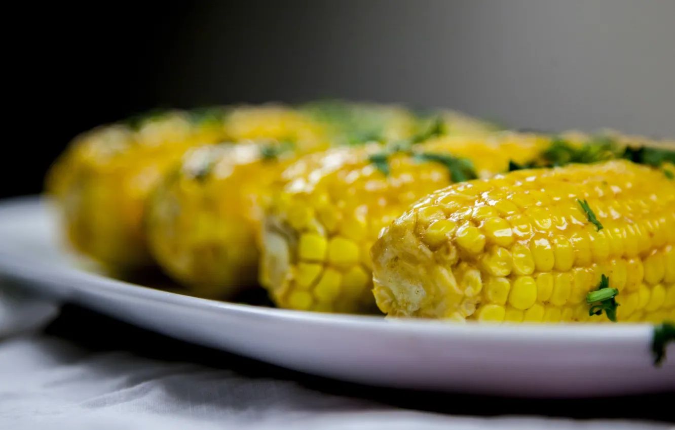 Фото обои Кукуруза, corn, Чинквантино