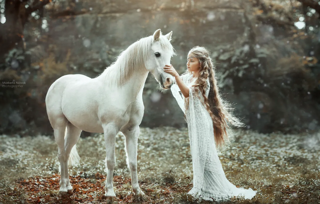 Фото обои настроение, лошадь, платье, девочка, белая, длинные волосы, Marketa Novak