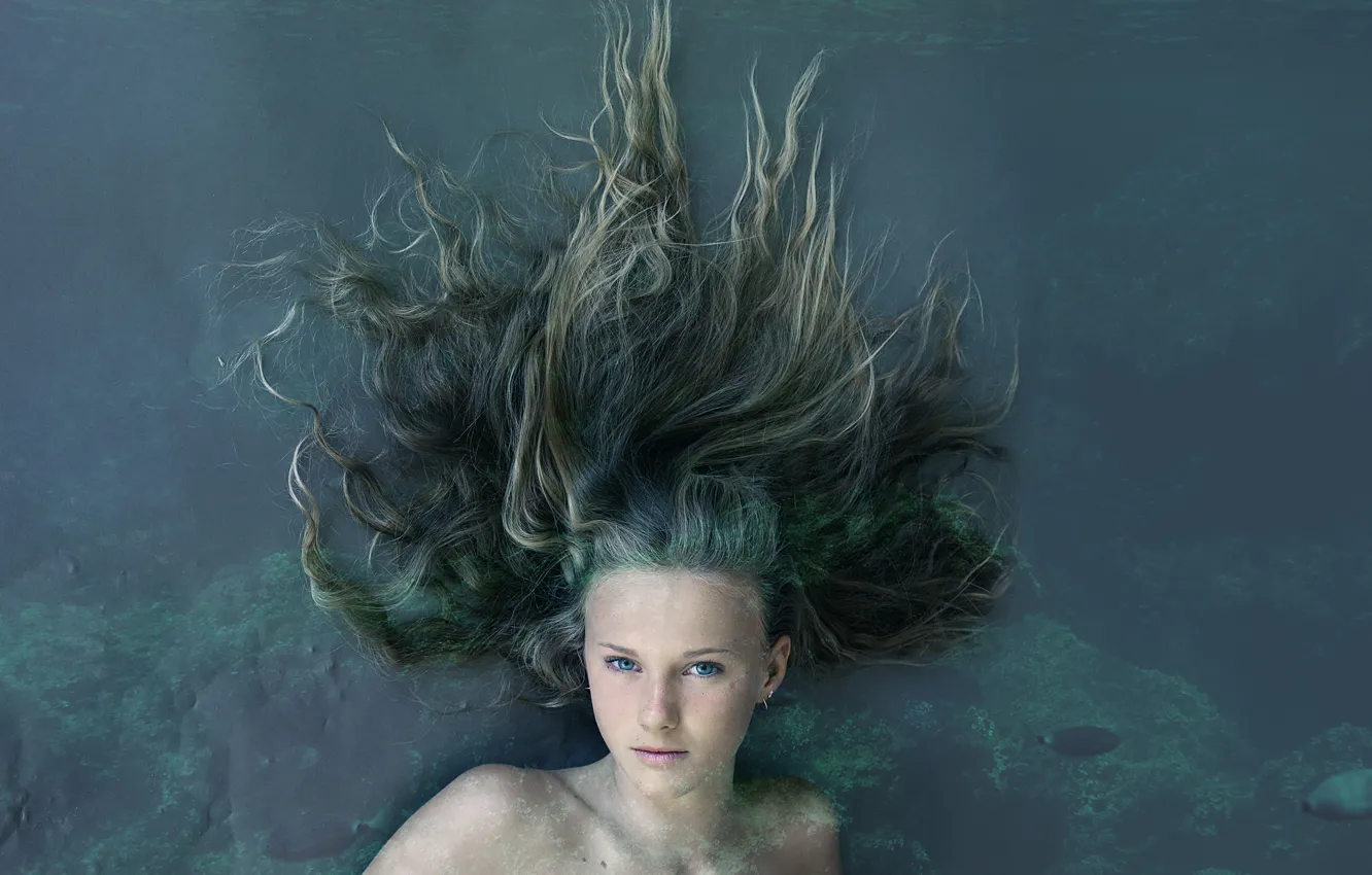 Фото обои вода, девушка, волосы, Mermaid