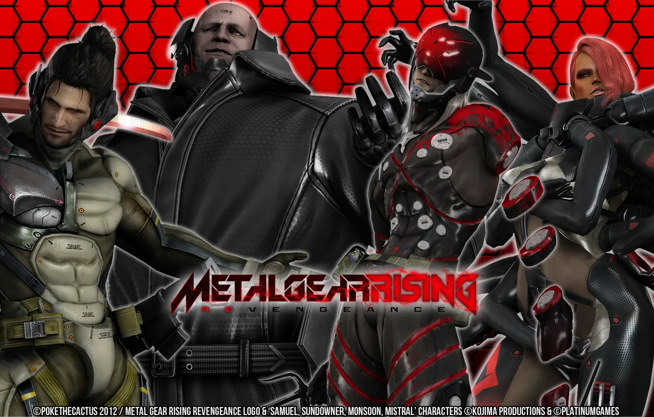 Фото обои game, Wallpaper, Metal Gear Rising, Revengeance, &ampquot;Doom&ampquot;, Cyborg Ninja, Desperado Enforcement Group, Sundowner
