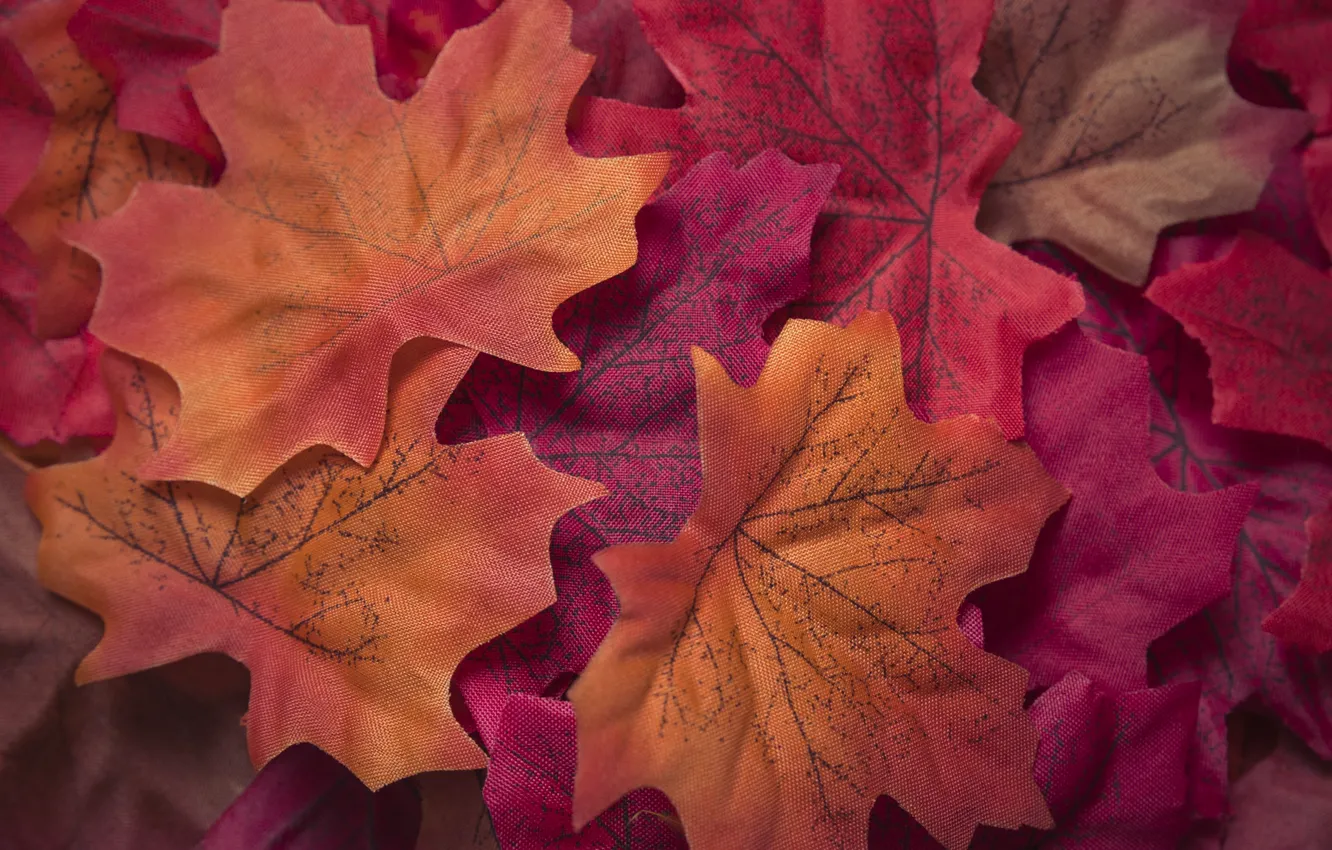 Фото обои осень, листья, фон, colorful, red, клен, background, autumn