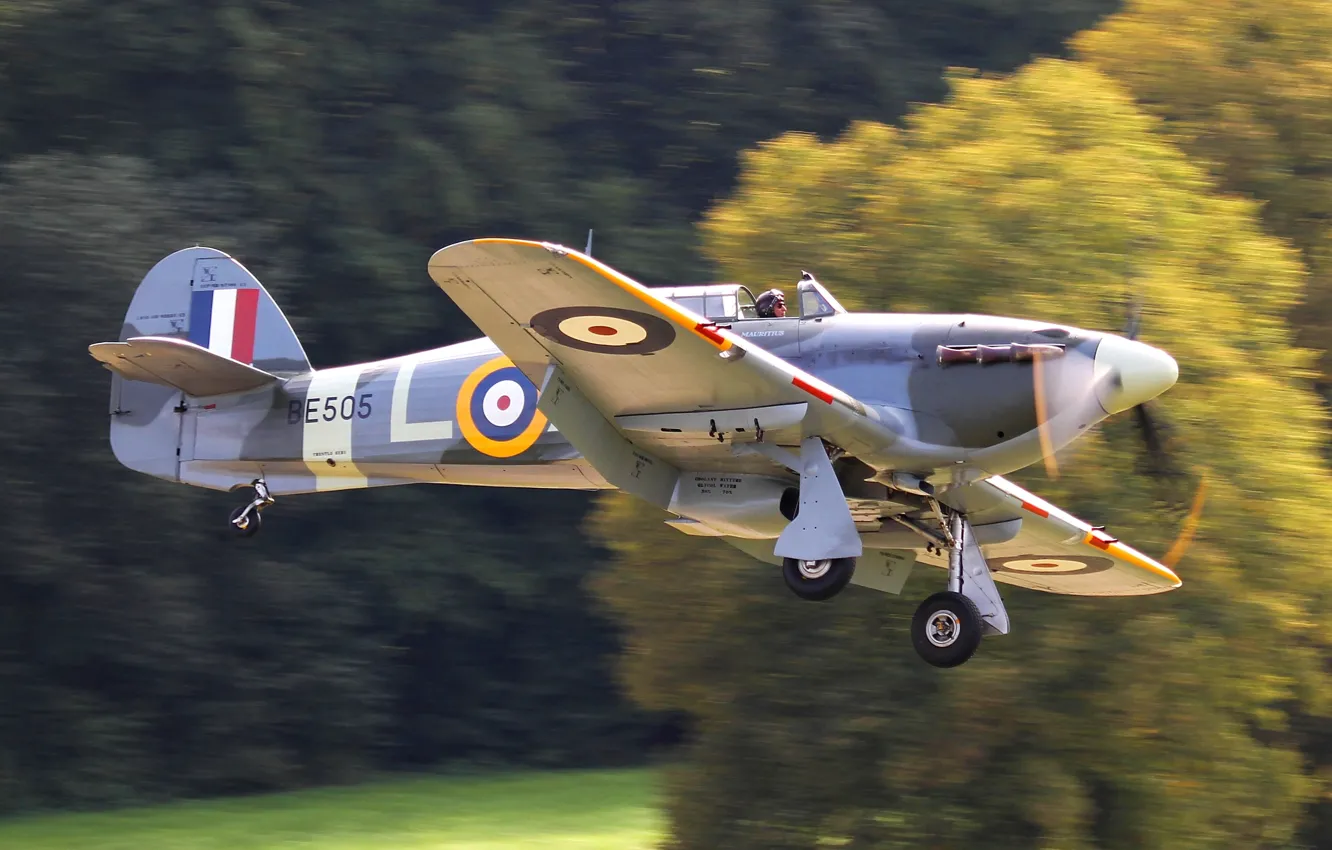 Фото обои истребитель, британский, WW2, Hawker, одноместный, &quot;Ураган&quot;, Hurricane Mk IIB