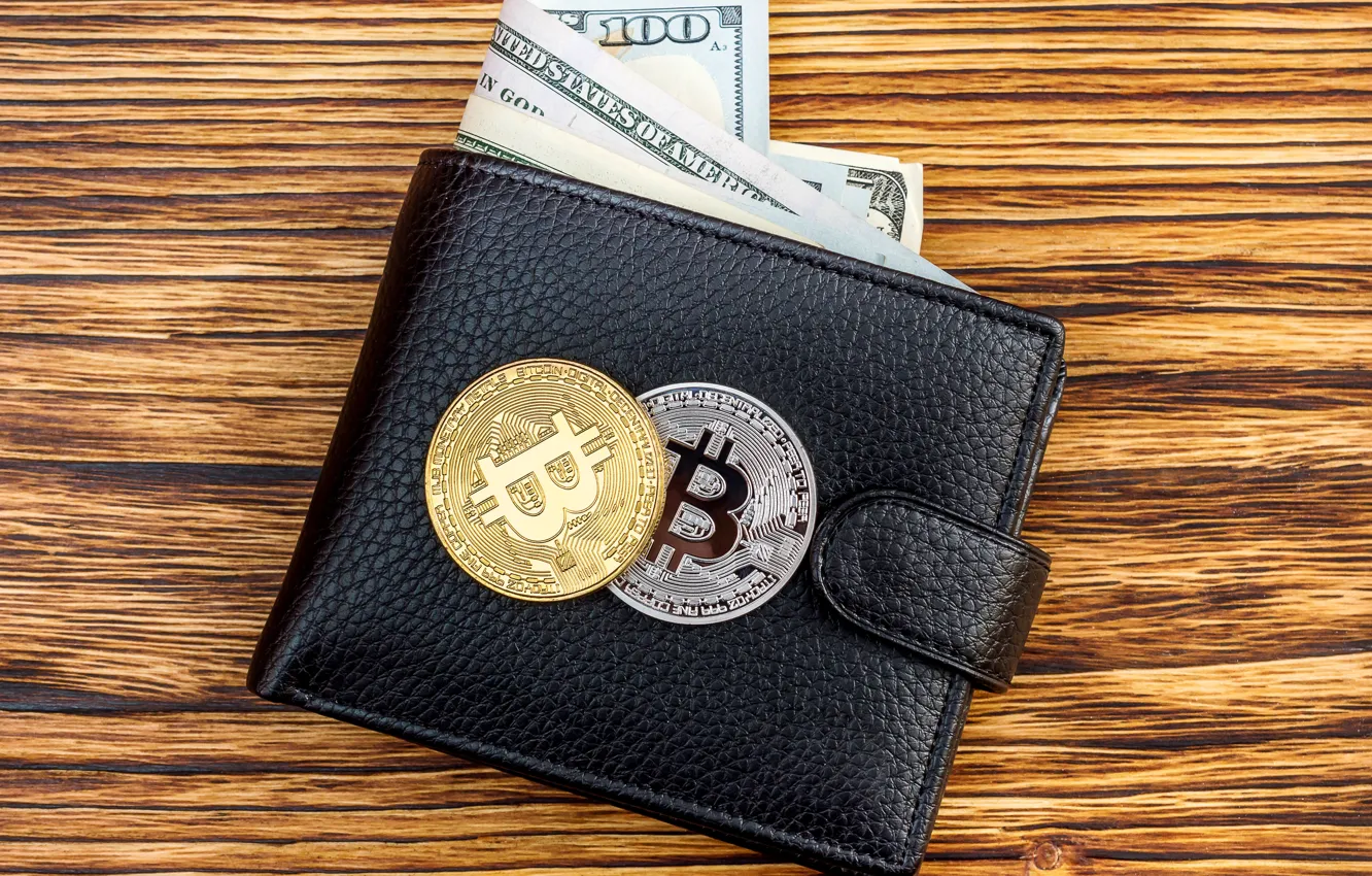 Фото обои доллар, dollar, кошелёк, bitcoin, wallet, биткоин, btc