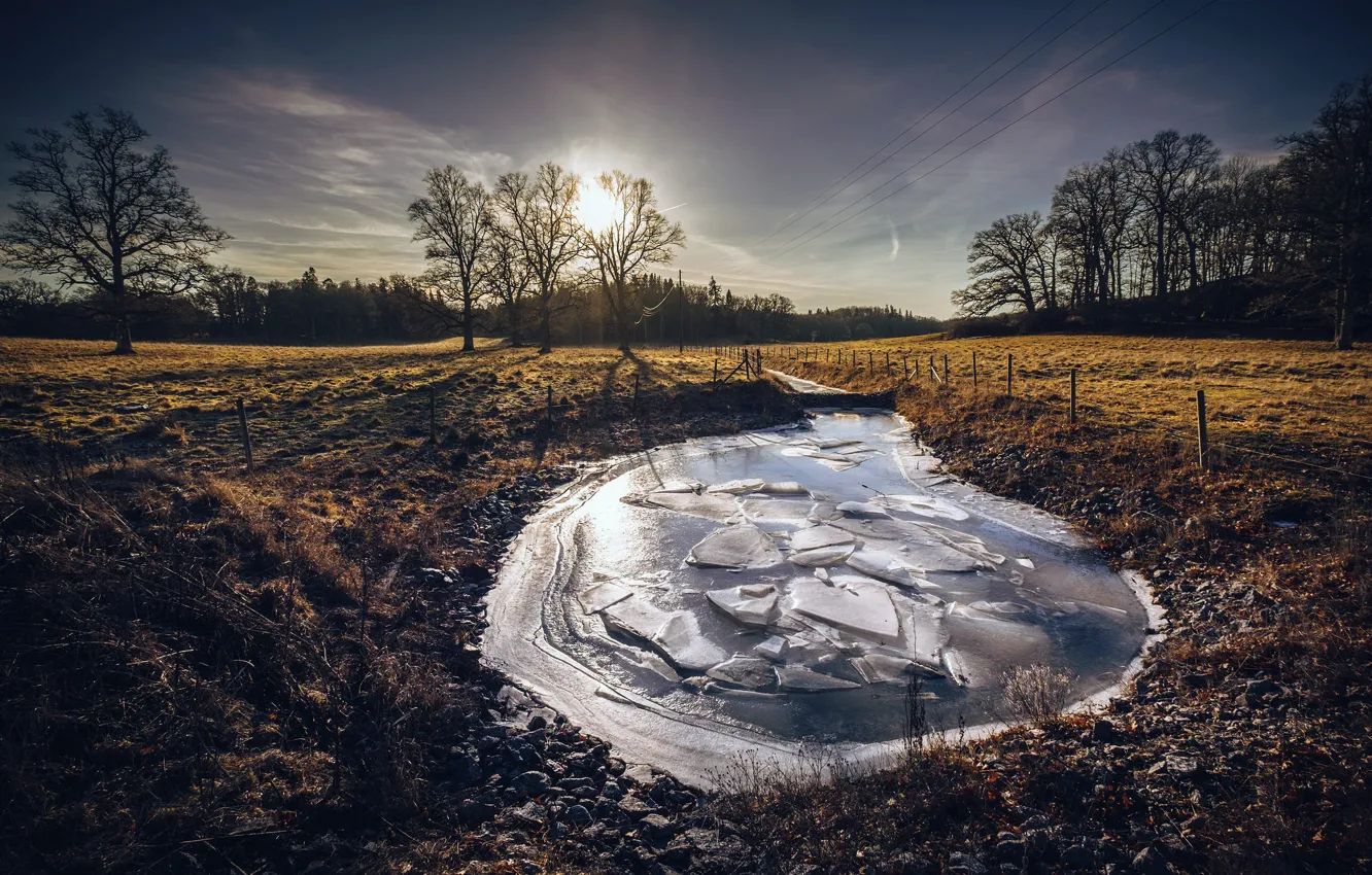 Фото обои зима, пруд, лёд, утро