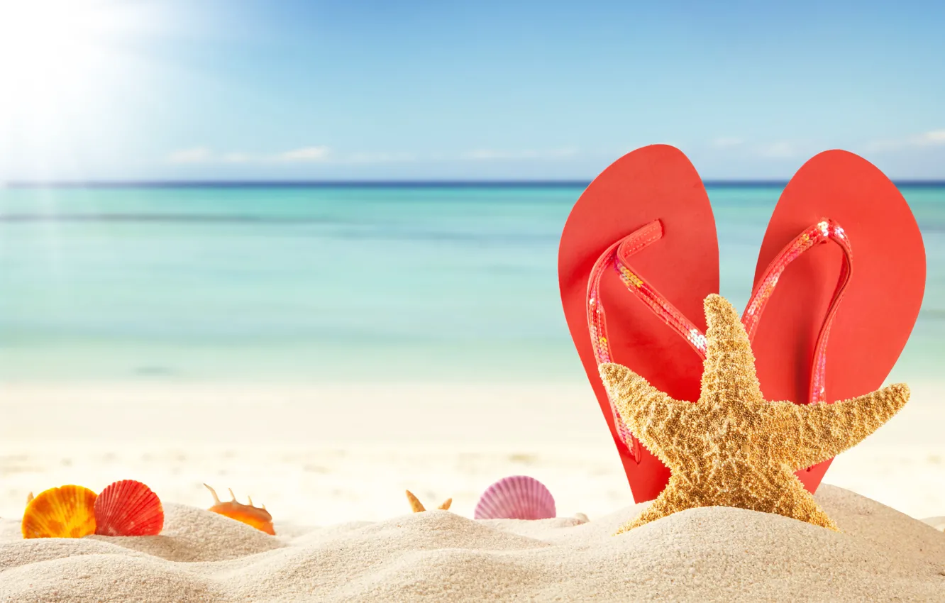 Фото обои песок, море, пляж, лето, солнце, ракушки, summer, beach