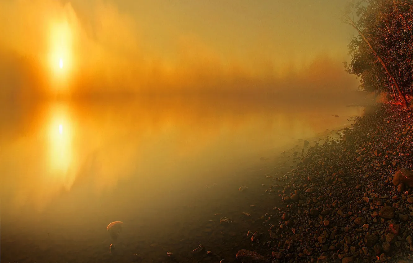 Фото обои свет, деревья, туман, озеро, камни, берег