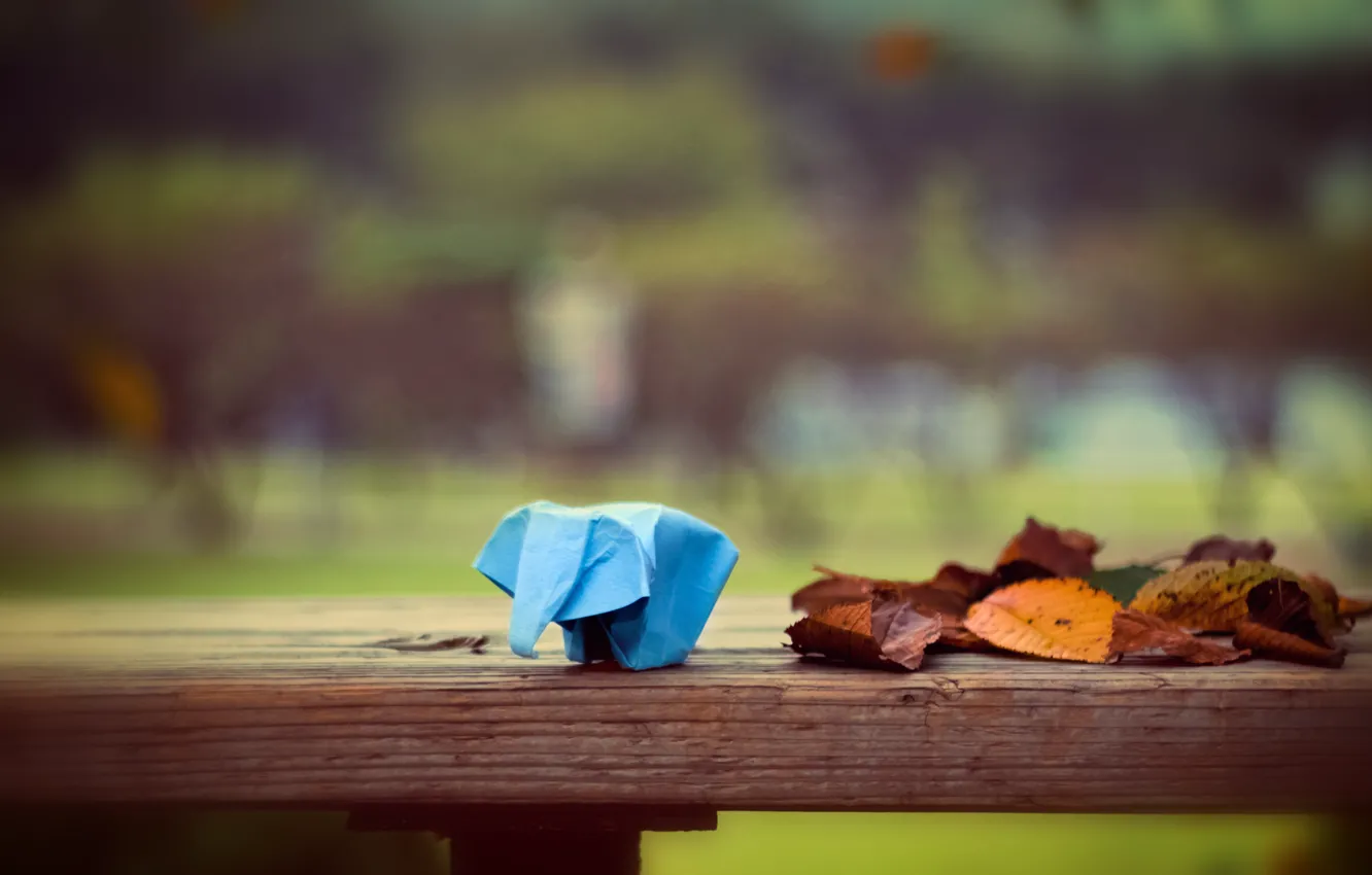 Фото обои листья, бумага, слон, оригами, leaves, боке, bokeh, 2560x1600
