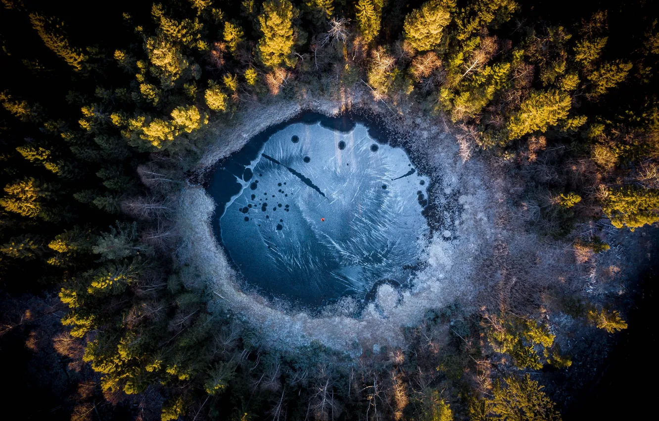 Фото обои лес, озеро, Norway, Oslo, Oslo Fylke
