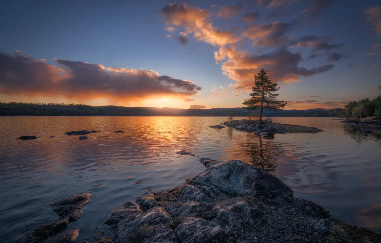 Фото обои вода, облака, закат, озеро, дерево, Норвегия, островок, сосна