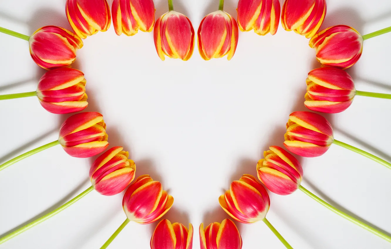 Фото обои сердце, весна, тюльпаны, 8 марта, heart, beautiful, tulips, color