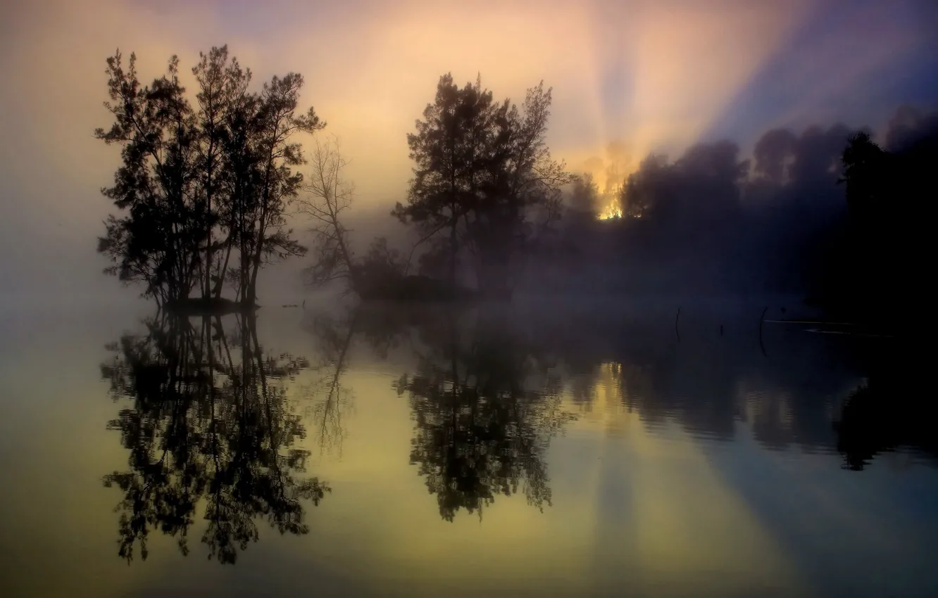 Фото обои деревья, туман, озеро, отражение, восход, утро