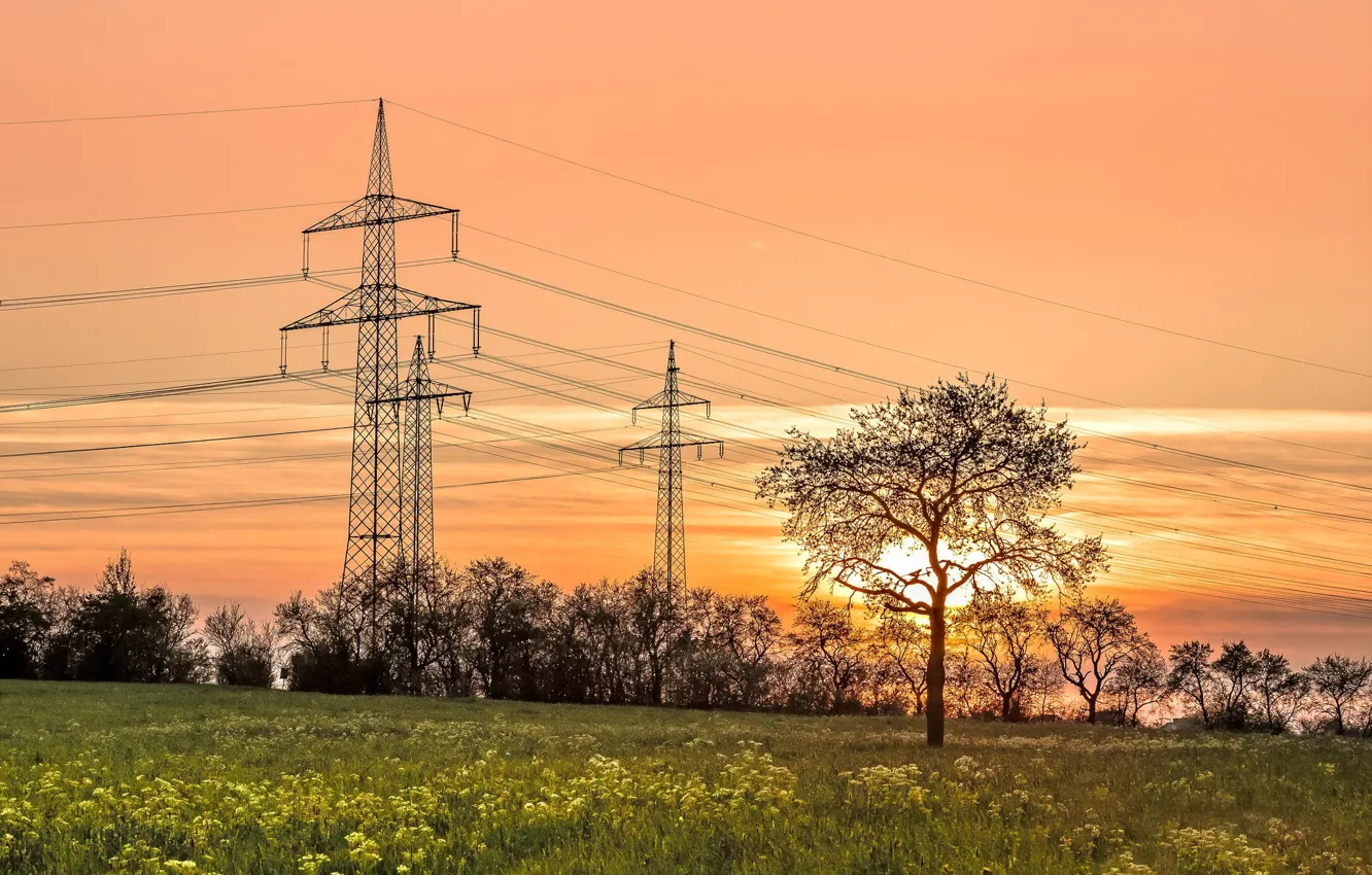 Фото обои поле, закат, лэп