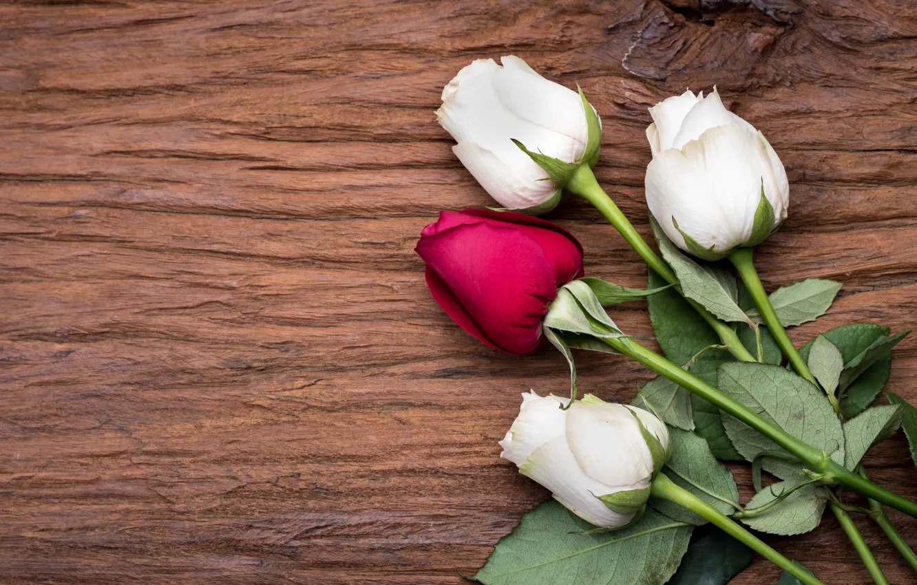 Фото обои цветы, розы, red, white, белые, wood, flowers, roses