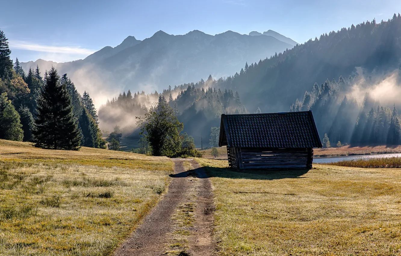 Фото обои дорога, трава, деревья, горы, туман, озеро, утро, Германия