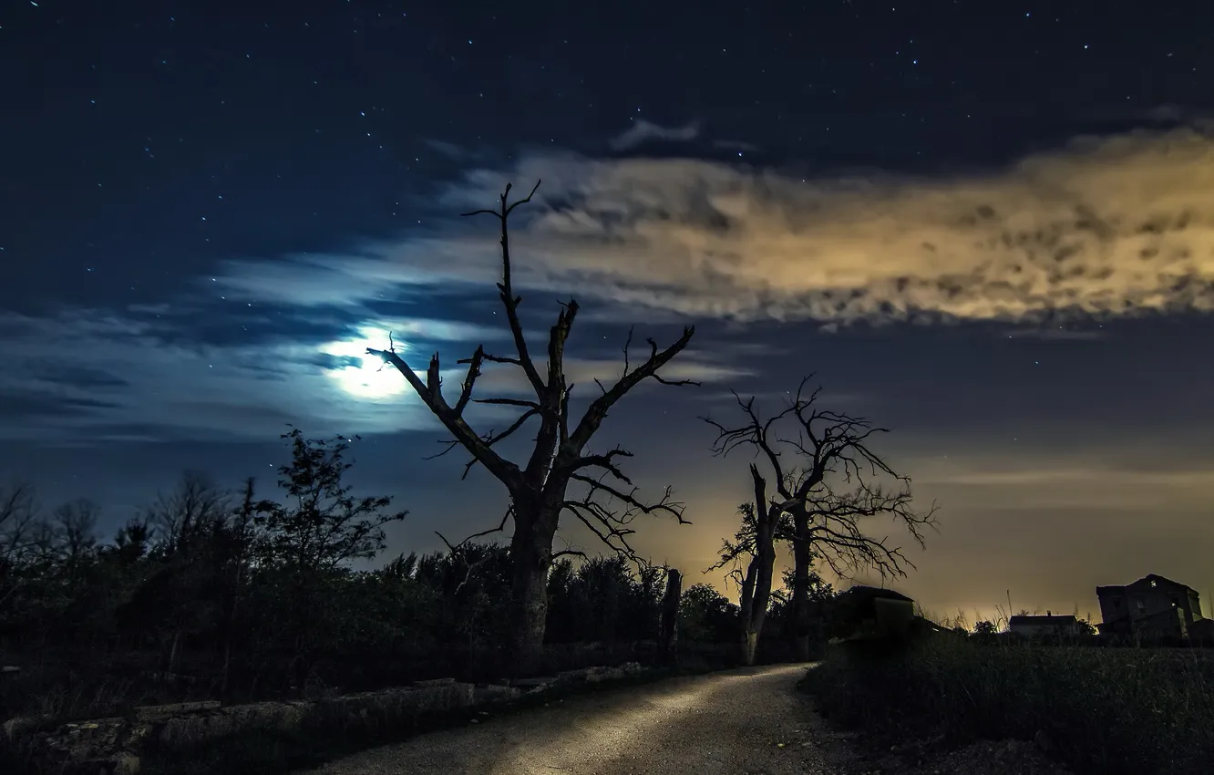 Фото обои дорога, деревья, ночь